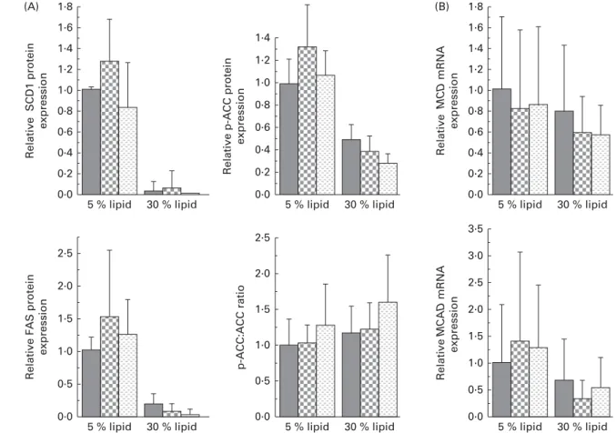 Fig. 3. Liver protein expression of stearoyl-CoA desaturase 1 (SCD1), fatty acid synthase (FAS) and phospho-acetyl-CoA carboxylase (p-ACC) and p-ACC:ACC ratio, and liver gene expression of malonyl CoA decarboxylase (MCD) and medium-chain acyl-CoA dehydroge