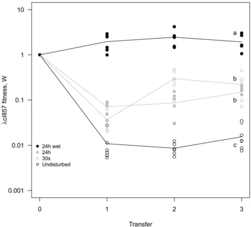 Fig 5. Mixing selects for virulence. A 1:1 mixture of temperate λ and its virulent mutant λ cI857 was used to seed spatial epidemics