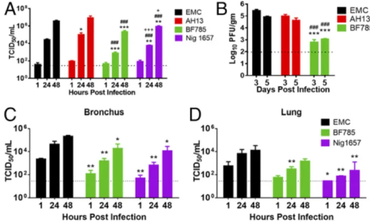 Fig. 2. Comparison of virus replication kinetics in Calu-3 cells, human DPP4- DPP4-transduced mice, and ex vivo cultures of the human bronchus and lung.