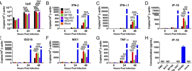 Fig. 3. Comparison of innate immune responses in Calu-3 cells infected with different MERS-CoVs: EMC, AH13, BF785, or Nig1657
