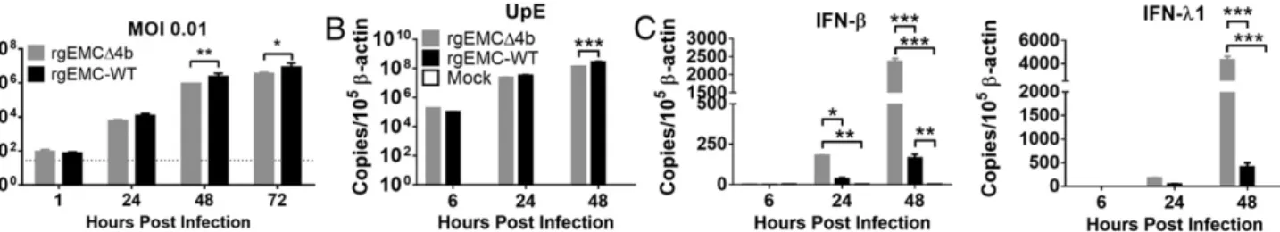 Fig. 4. Comparison of virus replication kinetics and innate immune responses in Calu-3 cells infected with reverse-genetically engineered MERS-CoV, rgEMC- rgEMC-WT, and MERS-CoV with ORF4b deletion, rgEMC Δ 4b