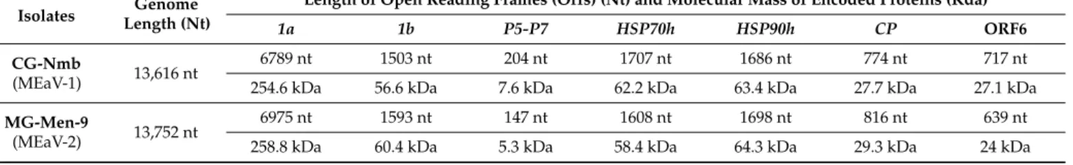 Table 5. Genome length, position of ORFs and size of the encoded proteins for the representative  isolates of the two species CG-Nmb (MEaV-1) and MG-Men-9 (MEaV-2)