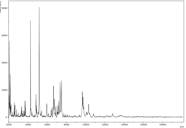 Figure 4. Reference mass spectrum from T . Spectra from 16 individual colonies were com- com-pared and a reference spectrum was generated
