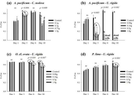Fig 4. Fv/Fm ratio (maximum quantum yield of Photosystem II) of Alexandrium pacificum cells in co- co-culture with fresh leaves/thalli of Cymodocea nodosa (a) and Ulva rigida (b); and of Ostreopsis cf.