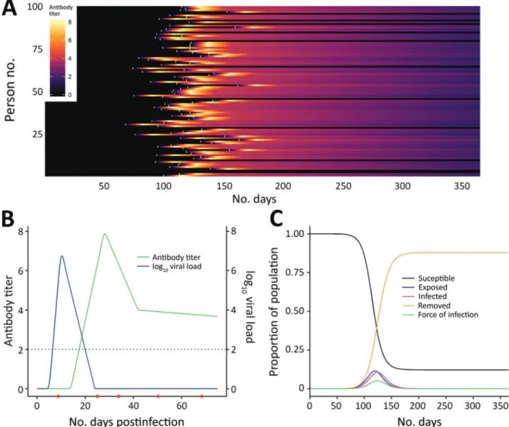 Figure 1. Link between severe acute respiratory syndrome coronavirus 2 infection dynamics and antibody levels in the population