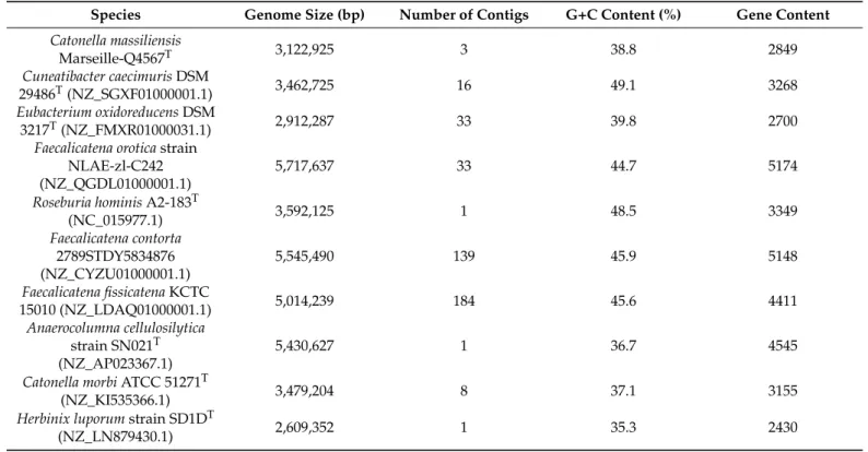 Table 4. Genomic comparison (sequence size, number of contigs, G+C contents, and gene content) between strain Marseille- Marseille-Q4567 T and nine closely related bacterial strains.