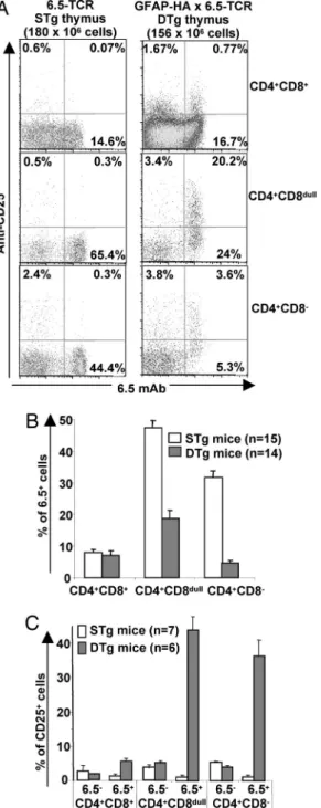 Fig. 2. Regulatory properties of CD4 ⫹ CD25 ⫹ T cells from DTg mice. (A) CD4 ⫹ CD25 ⫺ T cells (responder cells) from STg mice were stimulated with HA111-119 or with anti-CD3 mAb, either alone or in the presence of CD4 ⫹ CD25 ⫹ T cells from BALB兾c or DTg mi