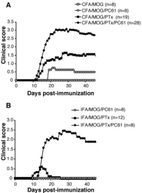 FIGURE 7. Synergy between Ab-mediated depletion of CD4 ⫹ CD25 ⫹ T cells and PTx administration for EAE induction
