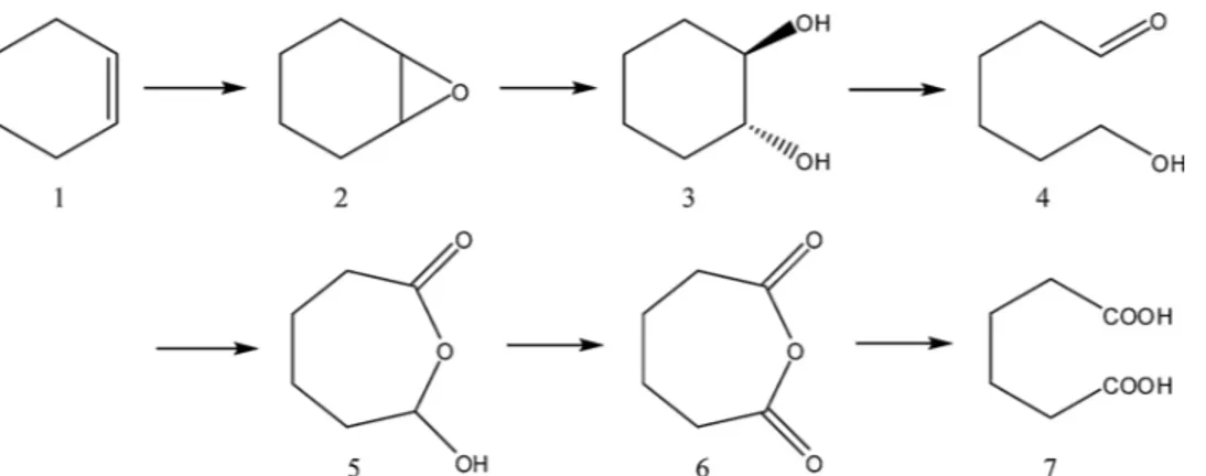 Fig. 1. Simplified diagram for adipic acid synthesis in microemulsion with BenzCl C18