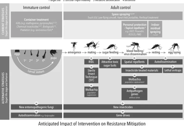 Fig 3. Current and alternative arbovirus control methods in the context of the targeted life stage of implementation and anticipated impact on IRM