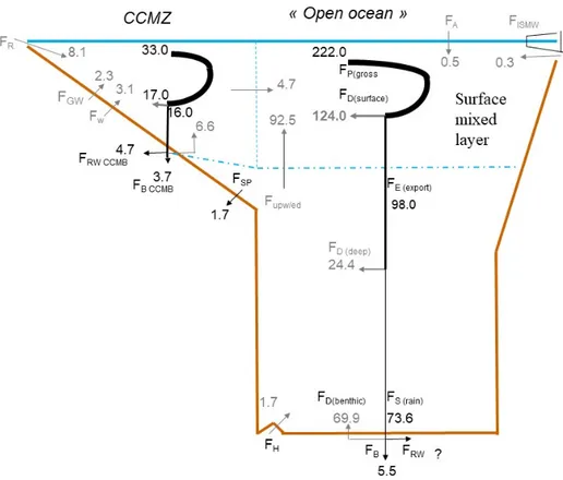Figure 4. Schematic view of the Si cycle in the coastal and continental margin zone (CCMZ), linked to the rest of the world ocean (open-ocean zone, including upwelling and polar zones)