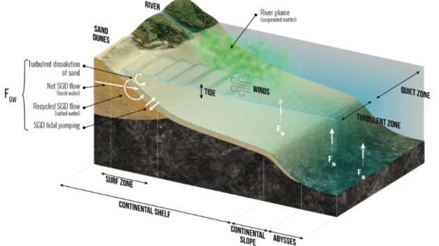 Figure 2. Schematic view of the low-temperature processes that control the dissolution of (either amorphous or crystallized) siliceous minerals in seawater in and to the coastal zone and in the deep ocean, feeding F GW and F W 