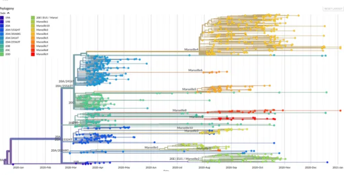 Figure 3. Genome sequence-based phylogenetic trees showing the evolution of SARS-CoV-2 Marseille-4 variant strains