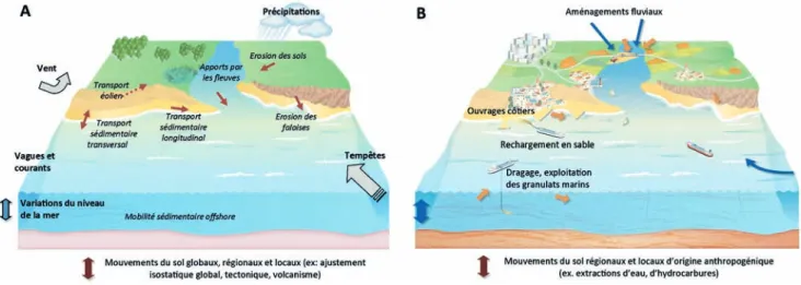 Figure 10. Processus naturels (A) et anthropiques (B) à l’origine de transports sédimentaires et pouvant générer l’érosion du littoral et le recul du trait de côte (d’après Cazenave et Le Cozannet, 2014).