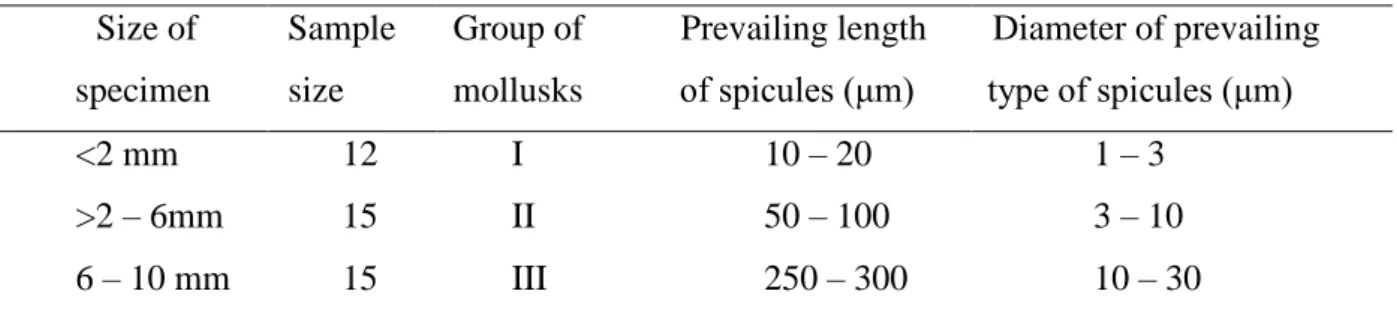 Table 2. Length and diameter of spicules between the three groups  Size of  specimen  Sample     size  Group of mollusks  Prevailing length  of spicules (μm)  Diameter of prevailing type of spicules (μm)  &lt;2 mm  12  I  10 – 20  1 – 3  &gt;2 – 6mm  15  I