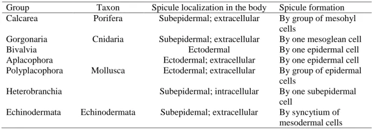 Table 1. Calcareous spicule formation in invertebrates base on literature data 