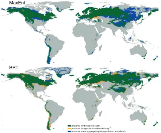Figure 5. Maps showing the change in worldwide suitable climatic conditions when aggregating the binary predictions of lineage-based  models  of  Dendroctonus  rufipennis