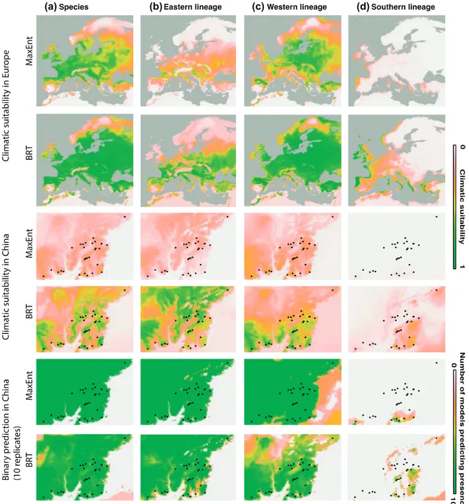 Figure 4. Potential distribution of Dendroctonus valens in Europe and in China predicted by the MaxEnt and BRT models