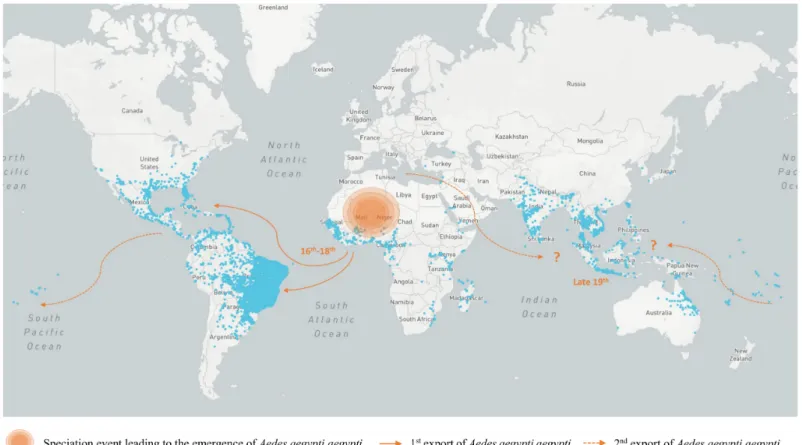 Figure 2. Global dissemination of Ae. aegypti species. Ae. aegypti (Aaa and Aaf subspecies combined) occurrences (adults, pupae, larvae or eggs) are indicated by blue dots