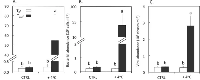 Figure 1. Abundances of Symbiodinium (A); bacteria (B), and viruses (C) in mucus samples  of F