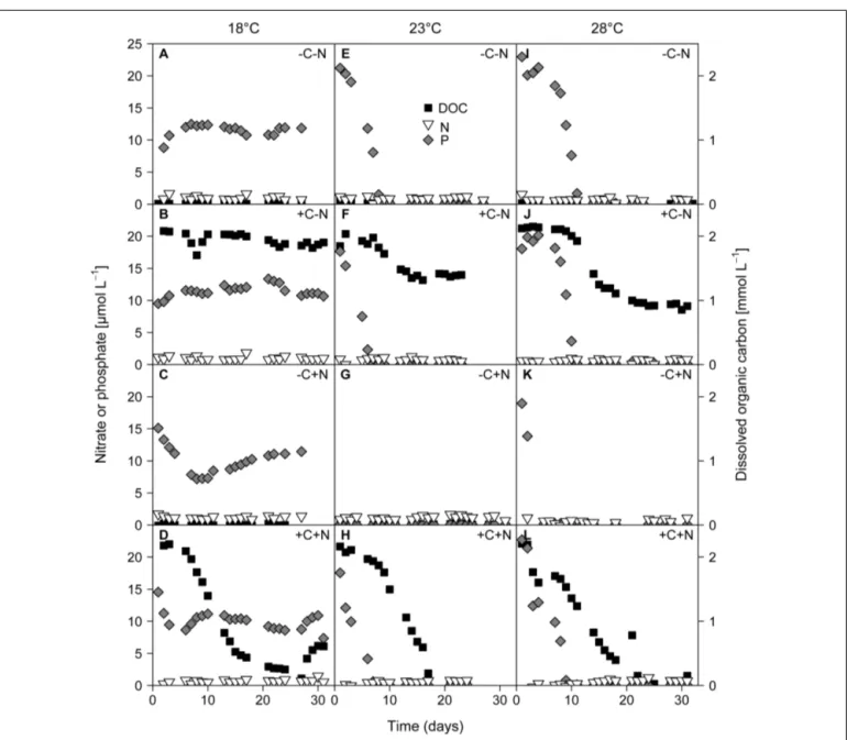 FIGURE 4 | Time series of residual concentrations of DOC (black squares), nitrate (white inverted triangles), and phosphate (gray diamonds) during the experiments