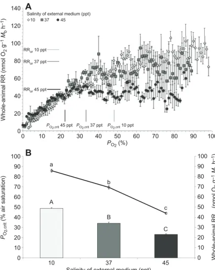 Fig. 2. Whole-animal respirometry results under different environmental salinities. (A) Respirometry profiles showing the average critical oxygen partial pressure (P O 2 ,crit ) and respiration rate during the oxyregulating period (RR or ) for each salinit