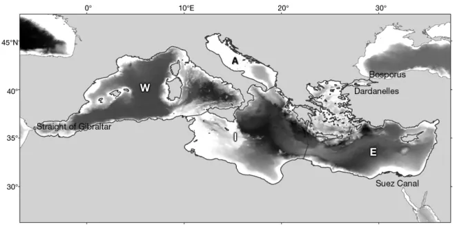 Fig. 1. Mediterranean Sea, showing depth profile (darker shading indicates greater depth) and the 4 Marine Strategy Frame- Frame-work Directive (MSFD) areas: Western Mediterranean Sea (W); Adriatic Sea (A); Ionian and Central Mediterranean Sea (I); 