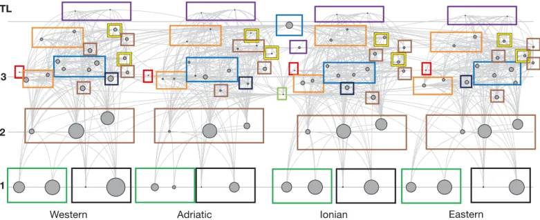 Fig. 2. Flow diagram of the Mediterranean Sea ecosystem (in the 2000s) with the Western part being at the far left followed by the Adriatic, the Ionian and the Eastern (see Fig