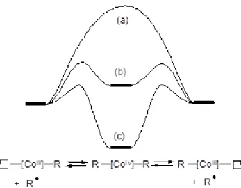 Figure  11.  Possible  energy  profiles  for  the  associative  radical  exchange  on  (acac) 2 Co III - -PVOAc