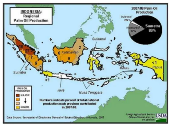 Figure  1.1.  Map  of  Indonesian  oil  palm  production  in  2007/2008  (from  U.S. 
