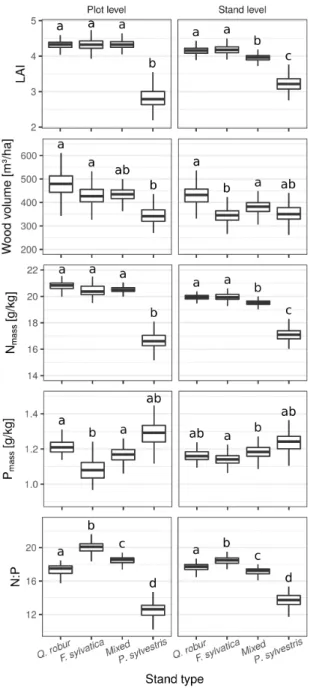 Figure 6 Predicted values of 200 repeated model calculations for LAI, wood volume, canopy N mass , P mass and N:P depending on stand types characterized by the dominant tree species