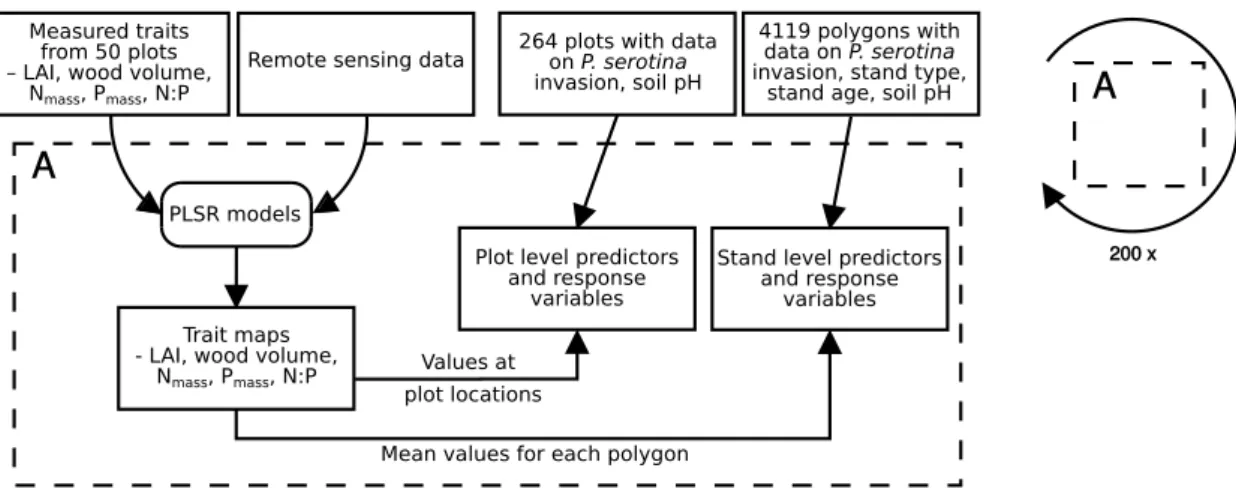 Figure 2 Work-flow illustrating the retrieval of response and predictor datasets at the plot and at the stand level (for more information on used variables see Tab