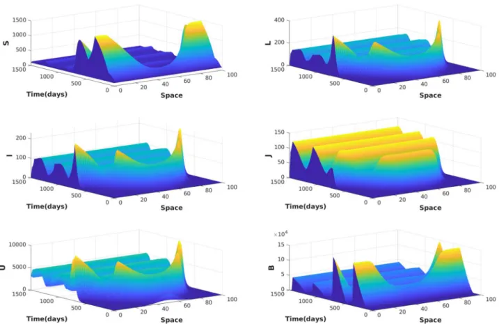 Figure 3. Spatio-temporal simulation of system (2.1,2.4,4.1) when γ D = γ R = 8, which leads to R (R) 0 = 5.09 and R (D)0 = 2.77