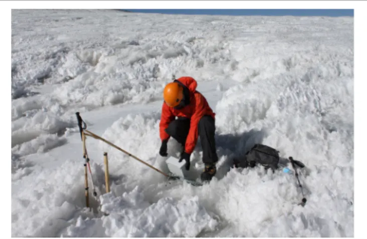 FIGURE 8 | Photograph of Guanaco Glacier at the ice coring location, showing the presence of small penitents on the surface (March 12, 2010).