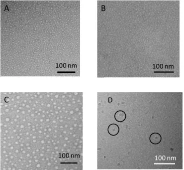 Figure  2.  Intensity-average  DLS  of  CmPOX/CmPMMA  self- self-assemblies. 