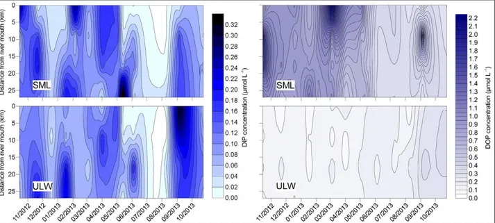 Figure 10: Concentrations of DIP and DOP. Spatiotemporal variations in concentrations of DIP (left panels) and DOP  (right panels) in the SML (top panels) and ULW (bottom panels) from October 2012 to October 2013