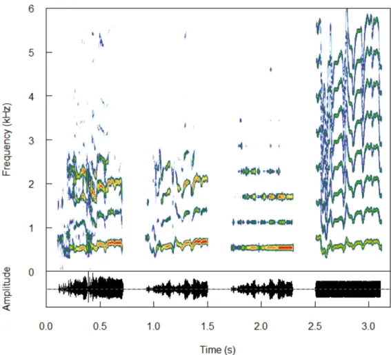 Fig 1. Experimental signals modified in the temporal domain. From left to right: natural control, synthetic control, wfm (no frequency modulation), and wam (no amplitude modulation).