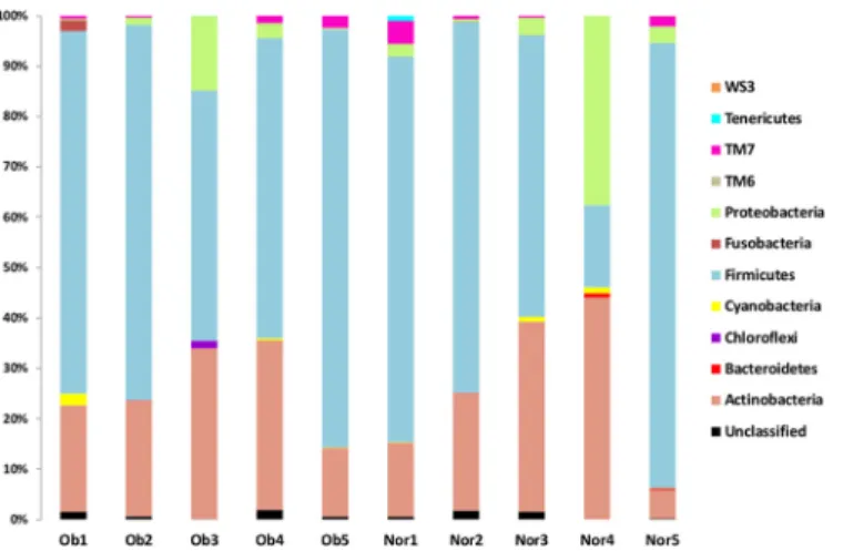 Fig 1. Phylum taxonomic classification. Ob, Obese individual; Norm, Normal weight individual.