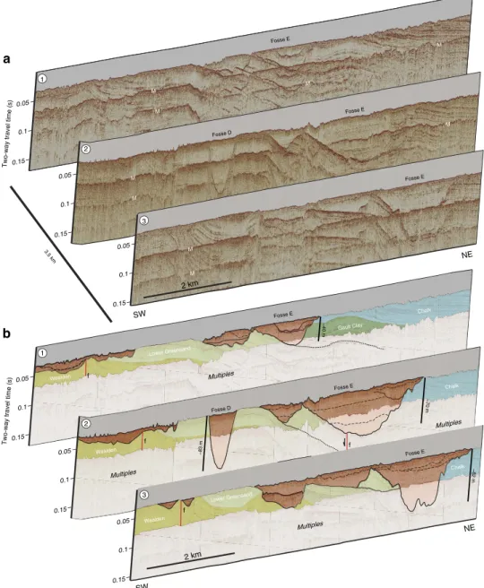 Figure 4 | Spatial variability in geometry of Fosses Dangeard depressions. (a) Three-dimensional perspective view of seismic proﬁles across north-west sector of Dover Strait study area showing geometry of depressions D and E