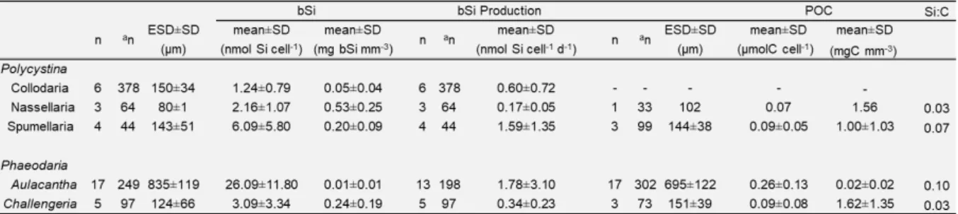 Table 1. Biogenic Silica Stocks, Production Rates and POC content of the rhizarians analyzed