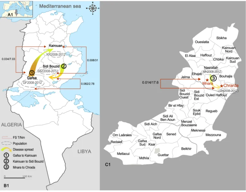 Fig 1. Map of Tunisia and schematic illustration of gene flow between the study areas