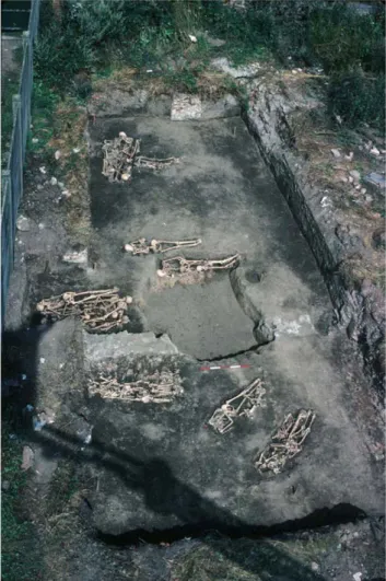 Figure 2. General view of the burial site of Douai.
