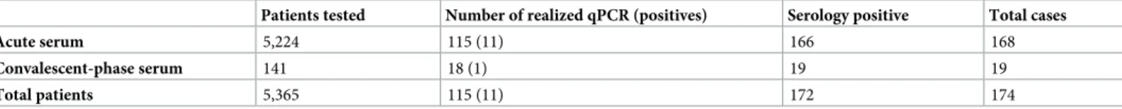 Table 1. Rickettsia typhi results of serology and PCR assays.