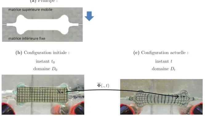 Fig. 1.5 – Description lagrangienne du mouvement `a l’aide de la fonction placement Φ(X,t), lors d’un essai de  matri¸ cage  , technique de mise en forme de mat´eriaux solides mous (le plus souvent, parce qu’ils ont ´et´e chauff´es) dans des matrices solid