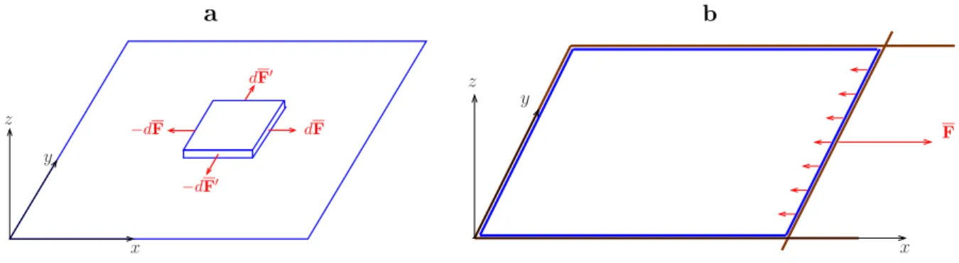 Fig. 2.1 – a : Repr´esentation des forces tangentielles de tension superficielle exerc´ees sur un petit parall´el´epip`ede du fluide 1 juste « sous » l’interface plane