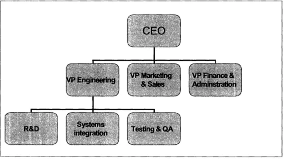 Figure 11:  Prototypical organization  chart of a packaged  software  company