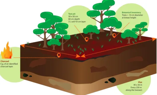 Figure 1 Example of a sampling design using test pits (after Morin-Rivat et al. 2016)