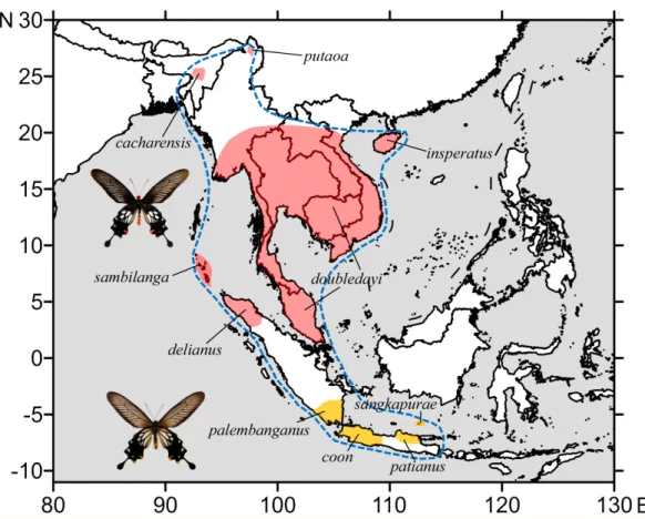 Figure 1. Distribution of the yellow and red marked Losaria coon (Fabricius, 1793), with currently accepted subspecies delimitation; the blue dash line encircles the tentative distribution range of L