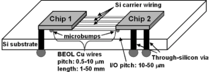 Fig. 1. Conceptual silicon carrier link.