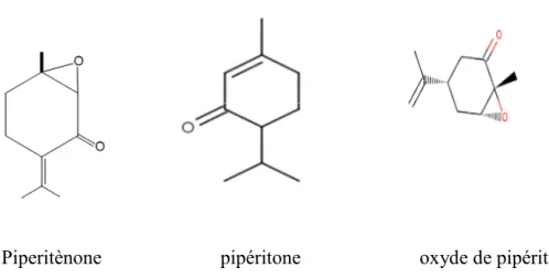 Figure 02: Structures chimiques des principaux constituants de l’HE de  Mentha rotundifolia (Lawrence, 2007)